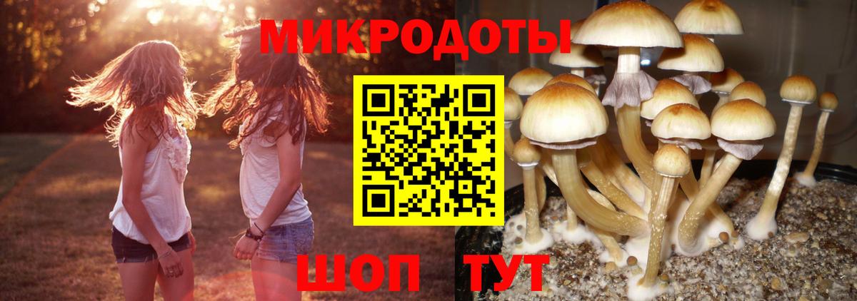 Нижнеудинск  Псилоцибиновые грибы ЛСД  Вход с VPN 