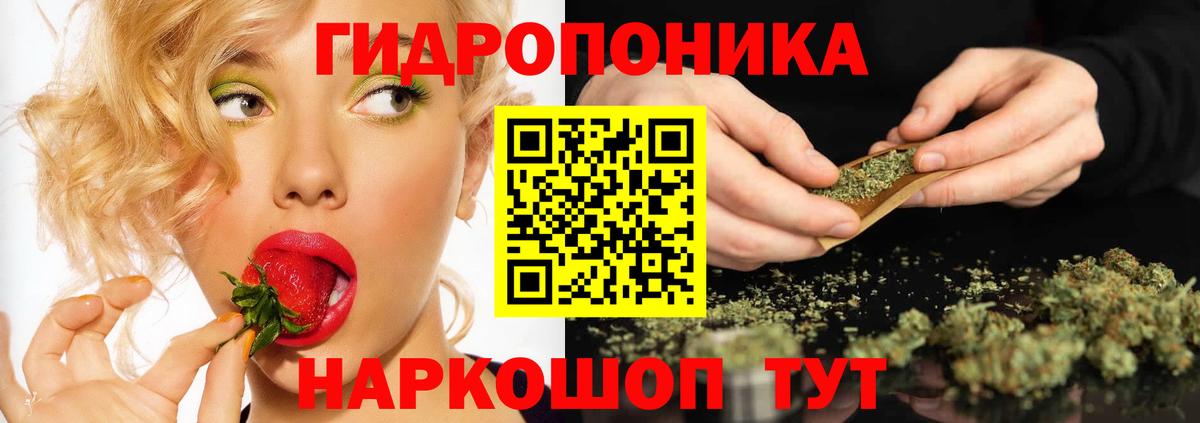 Бошки марихуана семена  Вход с VPN  Шишки марихуана ГИДРОПОН  Нижнеудинск  Канабис планчик  Конопля OG Kush 
